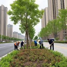 池州绿化和市容局副局长